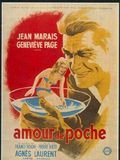 Affiche du film Un amour de poche