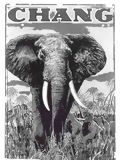 Affiche du film Chang, a Drama of the Wilderness