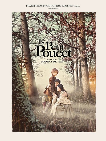 Affiche du film Le petit poucet