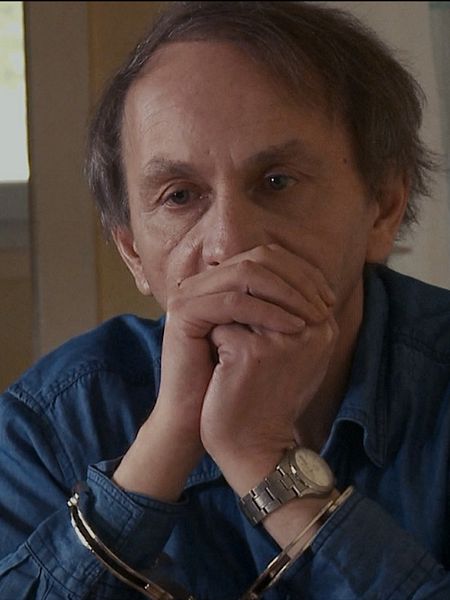 Affiche du film L'enlèvement de Michel Houellebecq