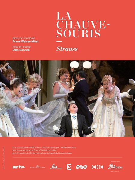 Affiche du film La Chauve-Souris