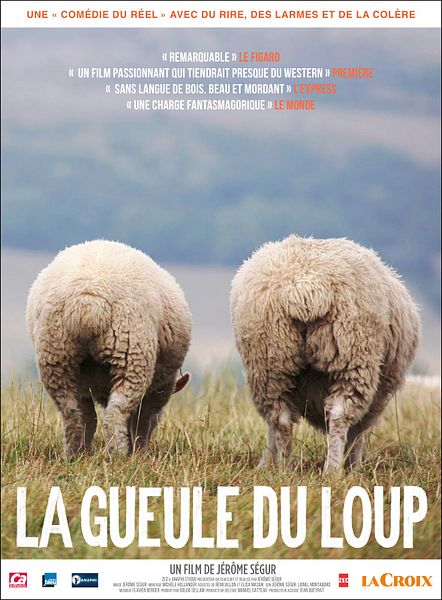 Affiche du film La gueule du loup