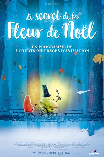 Affiche du film Le Secret de la fleur de Noël