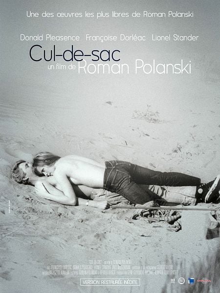 Affiche du film Cul-de-sac