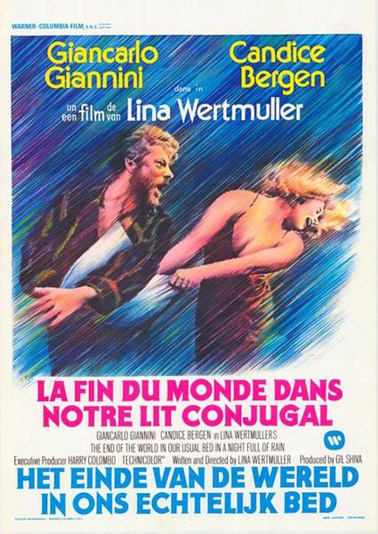 Affiche du film Fine del mondo nel nostro solito letto in una notte piena di pioggia