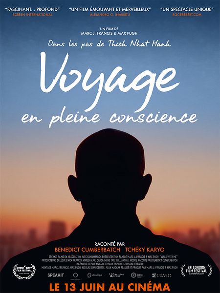 Affiche du film Voyage en pleine conscience
