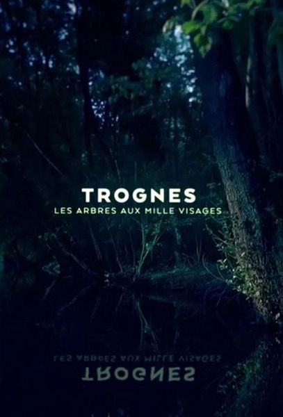 Affiche du film Trognes, les arbres aux milles visages