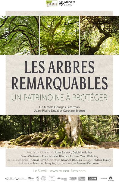 Affiche du film Les Arbres Remarquables, un patrimoine à protéger