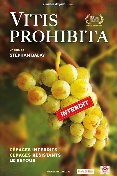 Affiche du film Vitis Prohibita