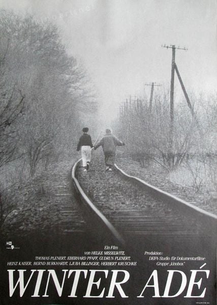 Affiche du film Adieu l’hiver