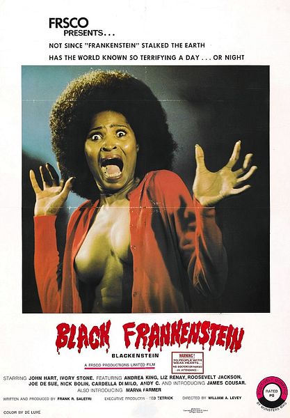 Affiche du film Blackenstein