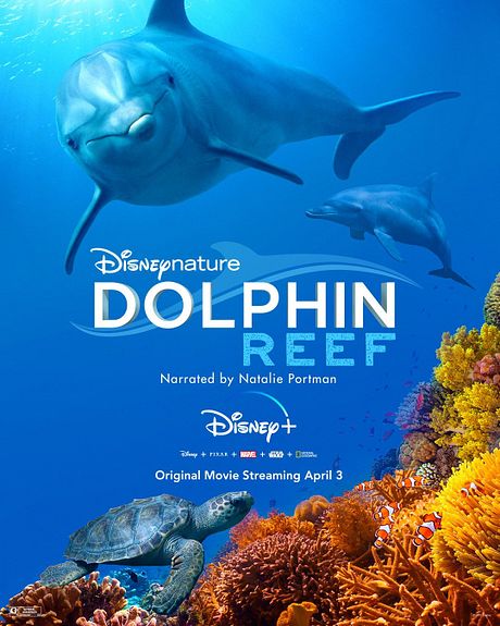 Affiche du film Blue