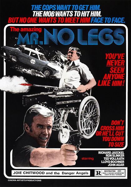Affiche du film L'infernale poursuite