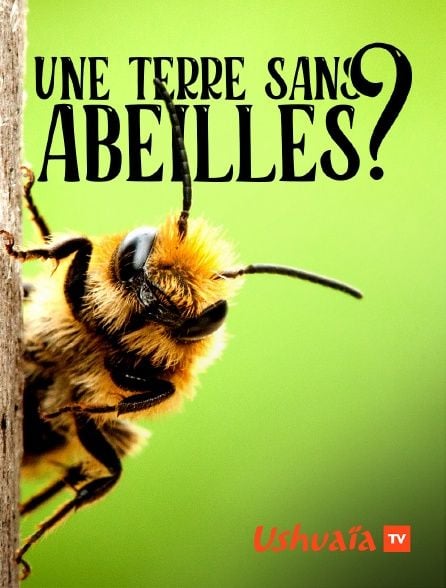 Affiche du film Une terre sans abeilles ?