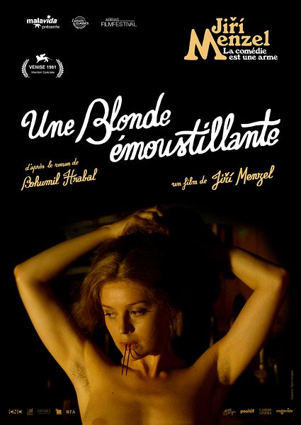 Affiche du film Une blonde émoustillante