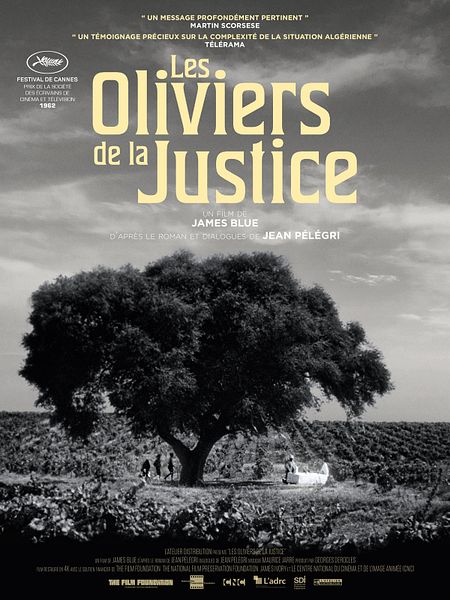 Affiche du film Les Oliviers de la justice