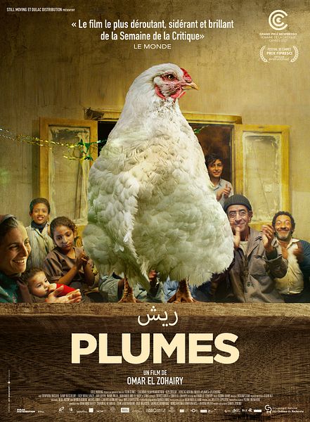 Affiche du film Plumes