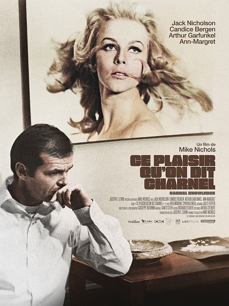 Affiche du film Ce plaisir qu'on dit charnel