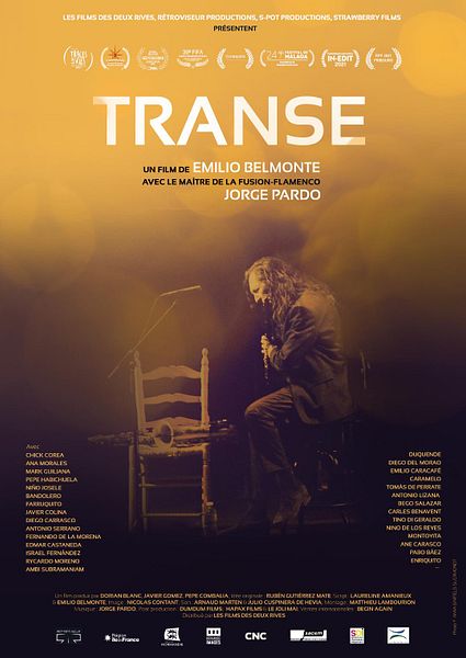 Affiche du film Transe
