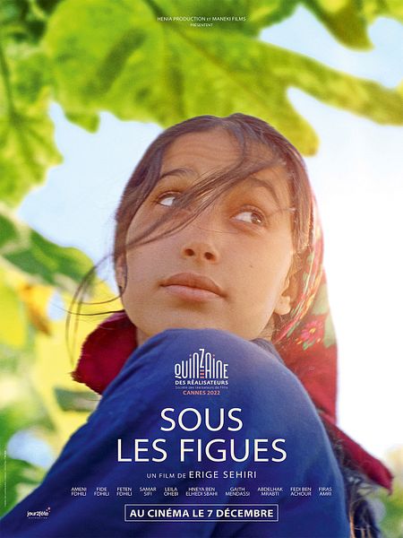 Affiche du film Sous les figues