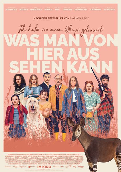 Affiche du film Le Rêve de l'okapi