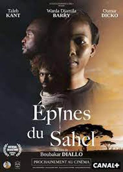 Affiche du film Epines du Sahel