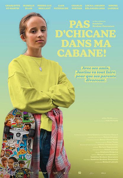 Affiche du film Pas d'chicane dans ma cabane!