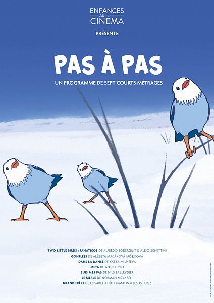 Affiche du film Pas à pas