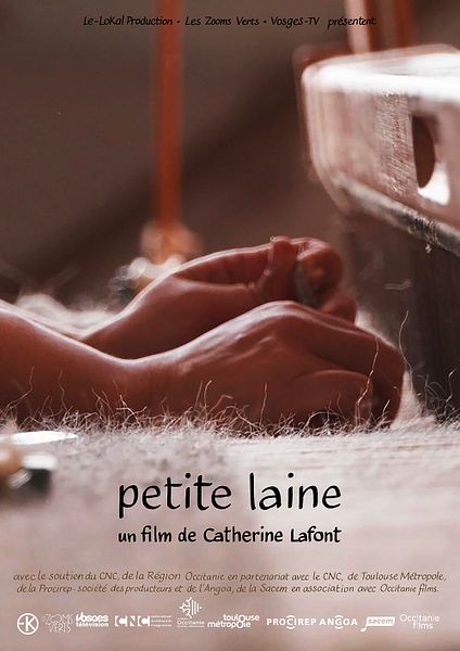 Affiche du film Petite Laine