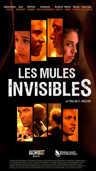 Affiche du film Les Mules invisibles