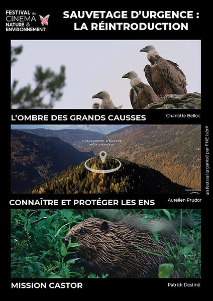 Affiche du film Sauvetage d’urgence : la réintroduction