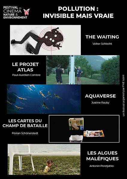Affiche du film Pollution invisible mais vraie