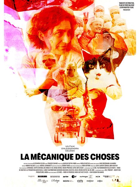 Affiche du film La Mécanique des choses