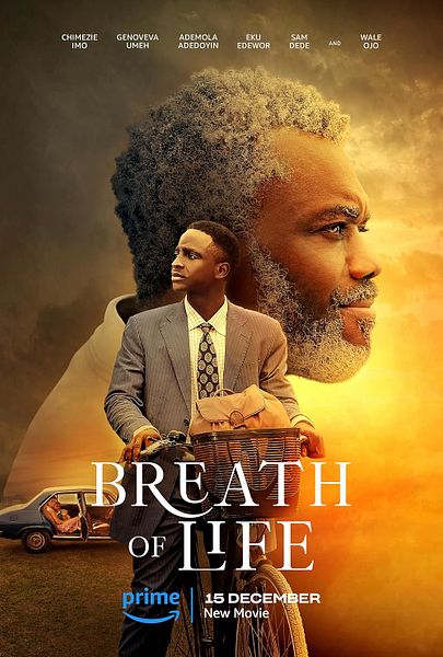 Affiche du film Un souffle de vie