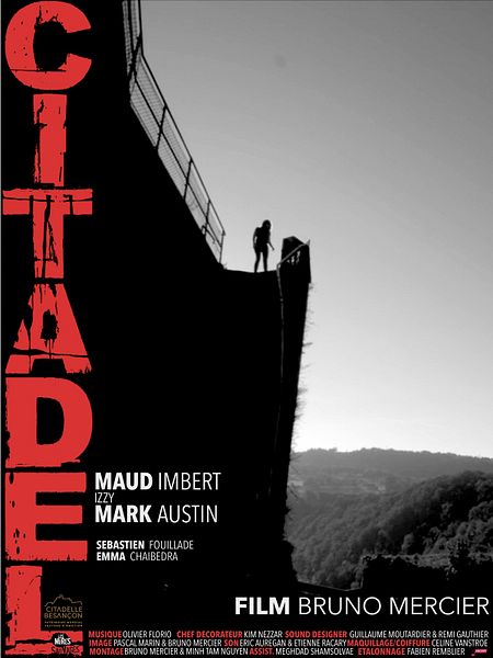 Affiche du film Citadel