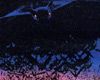 La Nuit des chauves-souris