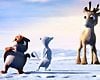 Niko, le petit renne Bande-annonce