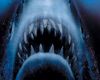 Saviez-vous que le requin est un avocat, que le film a signé un record au box-office, que Steven Spielberg apparaît dans le film...