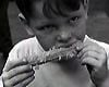 Le Petit fugitif Trailer