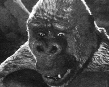 Le Fils de Kong Trailer