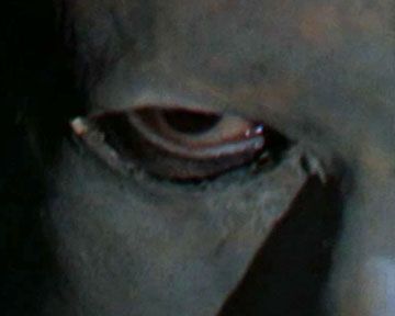 Nicolas Stanzick commente un extrait du "Fantôme de l'opéra" de Terence Fisher (1962). 