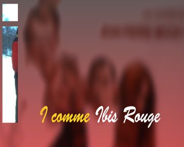 I... comme "L'Ibis rouge"...