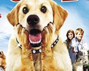 Diamond Dog : chien milliardaire Bande-annonce