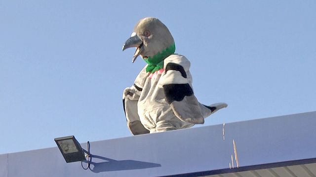 Découvrez une scène du film dans lequel le trublion du web exécute ce qu'il sait faire de mieux et qui a fondé sa gloire 2.0.