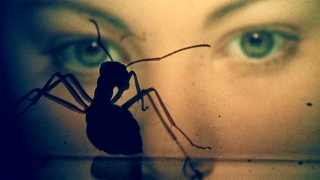 "Phase IV" - Bande-annonce