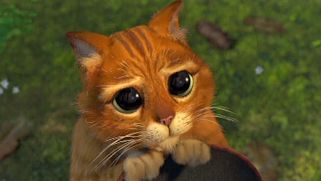 "Dessine-moi un chat..."