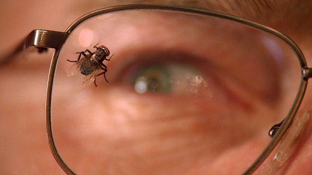 "Aaaaargh ! J'ai un truc poilu sur la tête ! Ben oui... Des cheveux. Et un truc visqueux dans la bouche !!! Ouais... C'est pas ta langue ?"