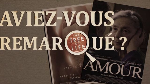 Les petits détails des plus grands films : "Aviez-vous remarqué ?" décrypte quelques Palmes d'Or, à commencer par celles de Terrence Malick et Michael Haneke...