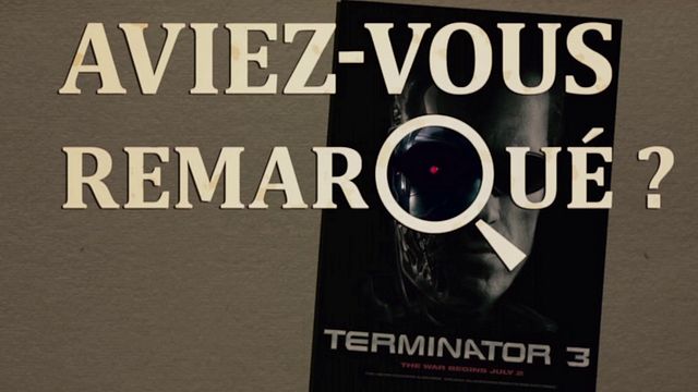 Les petits détails des plus grands films : "Aviez-vous remarqué ?" assiste au soulèvement des machines et au re-retour d'Arnold Schwarzenegger...