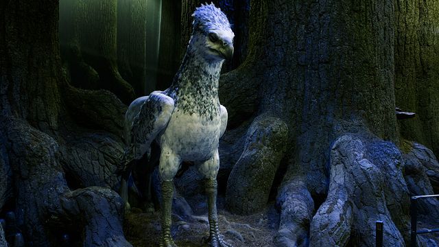 Nouvelle extension de The Making of Harry Potter, qui nous permet de découvrir les coulisses de la saga, la Forêt Interdite ouvre ses portes au grand public. Et on vous la fait visiter en vidéo.